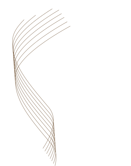Shape Nate 19